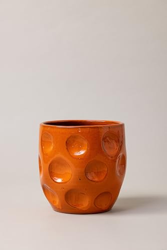 Plantpatio® Artisan glasierter Terrakotta-Übertopf, Lua (21_cm, Orange) von Plantpatio