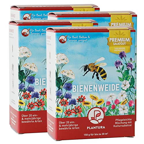 Plantura Bienenweide, blütenreiche Premium-Saatgut-Mischung für Bienen, Hummeln & Schmetterlinge, >20 heimische Sorten, ein- & mehrjährig, bienenfreundlich, pflegeleicht & nektarreich, 600 g für 80 m² Plantura Bienenweide, blütenreiche Premium-Saatgut-Mischung für Bienen, Hummeln & Schmetterlinge, >20 heimische Sorten, ein- & mehrjährig, bienenfreundlich, pflegeleicht & nektarreich, 600 g für 80 m² von Plantura