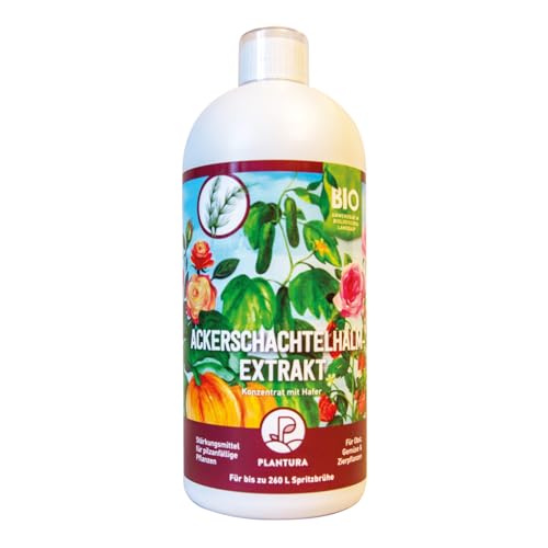Plantura Bio-Ackerschachtelhalm Extrakt, natürliches Pflanzenstärkungsmittel, 1 L für 260 L Spritzbrühe von Plantura