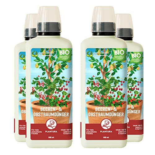 Plantura Bio-Beeren- & Obstbaumdünger, organischer Flüssigdünger, 3,2 L Plantura Bio-Beeren- & Obstbaumdünger, organischer Flüssigdünger, 3,2 L von Plantura
