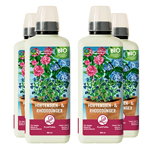Plantura Bio-Hortensien- & Rhododendrondünger, Flüssigdünger, auch für Blaubeeren & Azaleen, 3,2 L Plantura Bio-Hortensien- & Rhododendrondünger, Flüssigdünger, auch für Blaubeeren & Azaleen, 3,2 L von Plantura