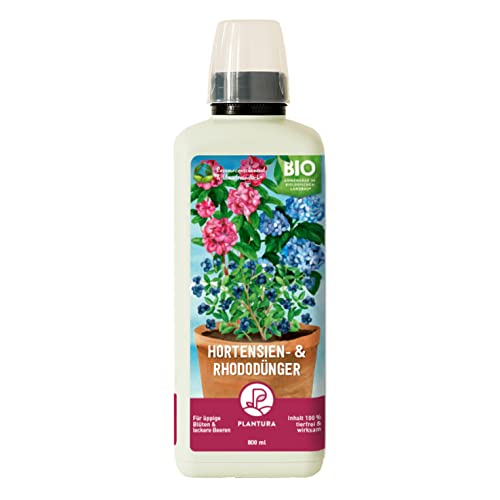 Plantura Bio-Hortensien- & Rhododendrondünger, Flüssigdünger, auch für Blaubeeren & Azaleen, 800 ml Plantura Bio-Hortensien- & Rhododendrondünger, Flüssigdünger, auch für Blaubeeren & Azaleen, 800 ml von Plantura