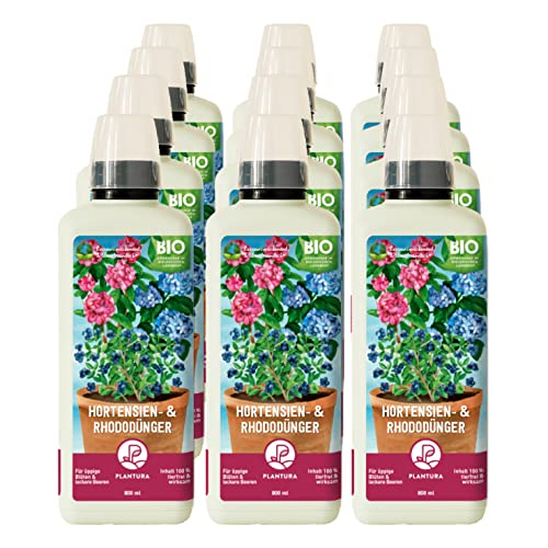 Plantura Bio-Hortensien- & Rhododendrondünger, Flüssigdünger, auch für Blaubeeren & Azaleen, 9,6 L Plantura Bio-Hortensien- & Rhododendrondünger, Flüssigdünger, auch für Blaubeeren & Azaleen, 9,6 L von Plantura