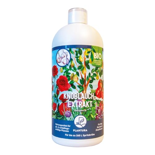 Plantura Bio-Knoblauch Extrakt, natürliches Pflanzenstärkungsmittel, 1 L für 260 L Spritzbrühe Plantura Bio-Knoblauch Extrakt, natürliches Pflanzenstärkungsmittel, 1 L für 260 L Spritzbrühe von Plantura