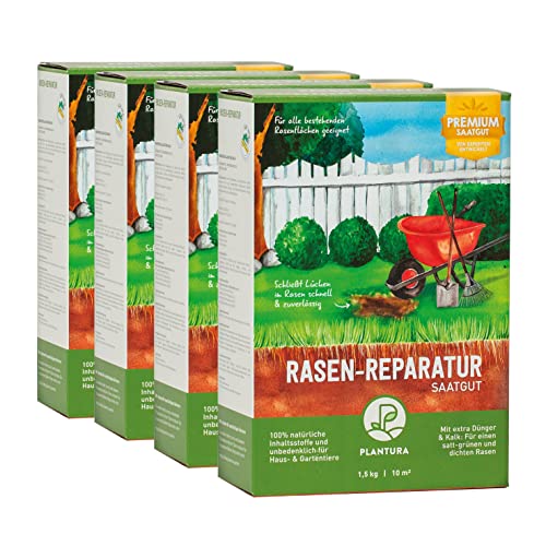 Plantura Rasen-Reparatur, 6 kg, Premium-Saatgut zur Rasenausbesserung, mit Dünger & Kalk von Plantura