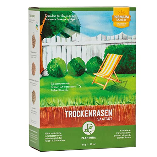 Plantura Trockenrasen, 2 kg, wassersparende Rasensamen für trockene Regionen, Premium-Saatgut Plantura Trockenrasen, 2 kg, wassersparende Rasensamen für trockene Regionen, Premium-Saatgut von Plantura