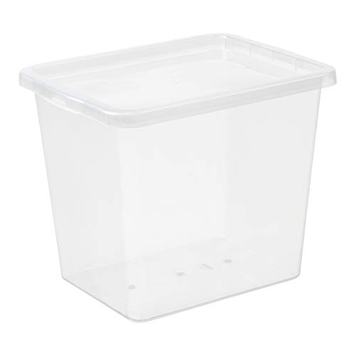 Plast Team Basic Box 31l, Aufbewahrungsbox mit Deckel, aus Kunststoff, transparent, 5er Set, Blank, one Size, 5 von Plast Team