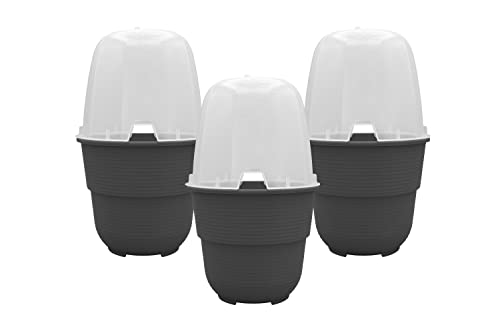 Plastard 3er-Set Anzuchthaube mit Blumentopf 16 cm Durchmesser Anthrazit runder Anzuchttopf Anzuchthilfe Mini Gewächshaus Pflanztöpfe für Kräuter und Gemüse Ideal für Wohnung Balkon und Garten von Plastard