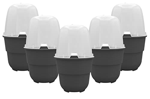 Plastard 5er-Set Anzuchthaube mit Blumentopf 16 cm Durchmesser Anthrazit runder Anzuchttopf Anzuchthilfe Mini Gewächshaus Pflanztöpfe für Kräuter und Gemüse Ideal für Wohnung Balkon und Garten von Plastard