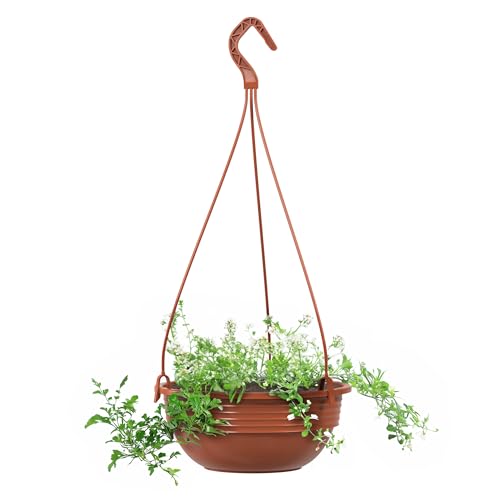 Blumenampel 40 cm Durchmesser Pflanzschale Farbe Terrakotta Kunststoff Blumenschale für Innen und Außen Deko Schale zum hängen witterungs- und frostbeständig von Plastard