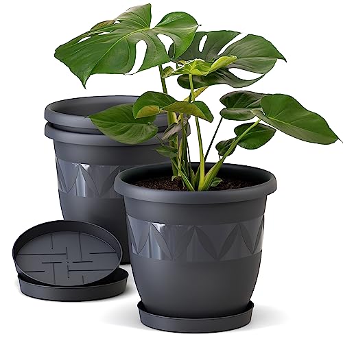 Blumentopf 3er Set 24 cm Durchmesser Anthrazit runder Pflanzkübel mit Untersetzer aus Kunststoff witterungsbeständiger Übertopf großer Pflanztopf Kräutertopf für Innen und Außen von Plastard