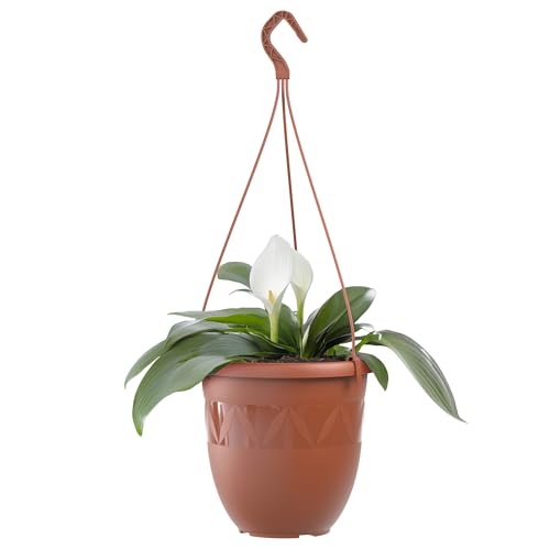Plastard Blumentopf Hängeampel 24 cm Durchmesser Farbe Terrakotta, Kunststoff Hängetopf ohne Löcher für Innen und Außen, Deko Übertopf zum hängen, witterungsbeständiger Pflanzkübel Plastard Blumentopf Hängeampel 24 cm Durchmesser Farbe Terrakotta, Kunststoff Hängetopf ohne Löcher für Innen und Außen, Deko Übertopf zum hängen, witterungsbeständiger Pflanzkübel von Plastard