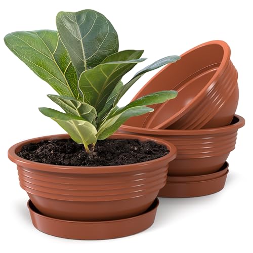 Plastard Pflanzschale mit Untersetzer im 3er Set in Terrakotta 40 cm Durchmesser große runde Blumenschalen aus Kunststoff für Garten Terrasse Wohnung für Aussen und Innen Schalen Pflanztopf von Plastard