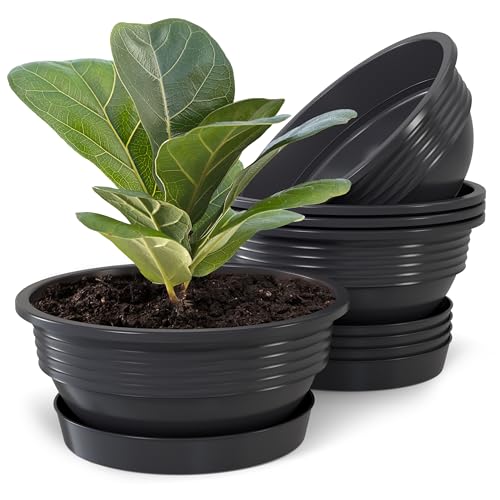 Pflanzschale mit Untersetzer im 5er Set in Anthrazit 25 cm Durchmesser große runde Blumenschalen aus Kunststoff für Garten Terrasse Wohnung für Aussen und Innen Schalen Pflanztopf von Plastard