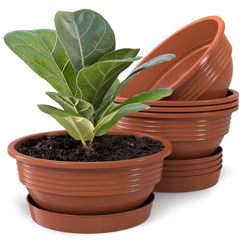 Pflanzschale mit Untersetzer im 5er Set in Terrakotta 32 cm Durchmesser große runde Blumenschalen aus Kunststoff für Garten Terrasse Wohnung für Aussen und Innen Schalen Pflanztopf von Plastard