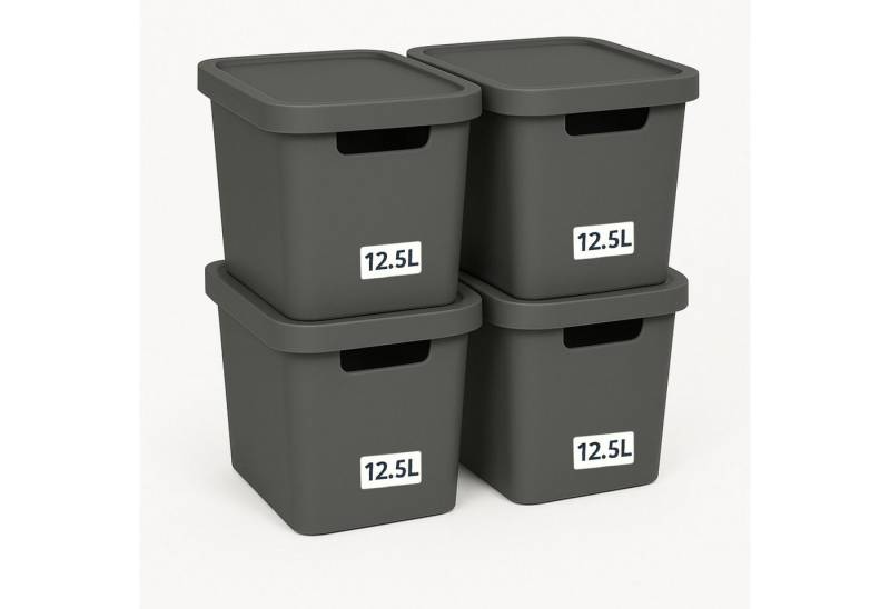 Plastard Aufbewahrungsbox mit Deckel von 7,5 - 31 Liter in verschied, Farben, Transportbox (4er-Set, 4 St), Lagerbox, Spielzeugbox, BPA-Frei Storagebox von Plastard