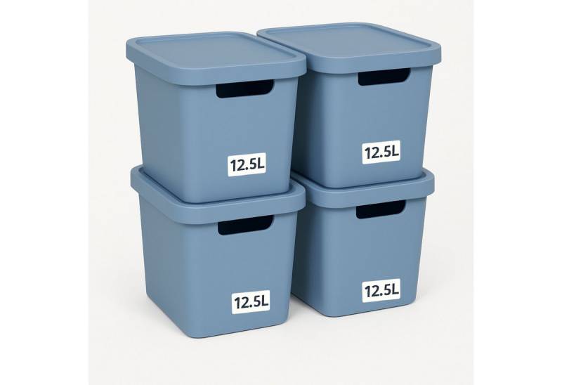 Plastard Aufbewahrungsbox mit Deckel von 7,5 - 31 Liter in verschied, Farben, Transportbox (4er-Set, 4 St), Lagerbox, Spielzeugbox, BPA-Frei Storagebox von Plastard