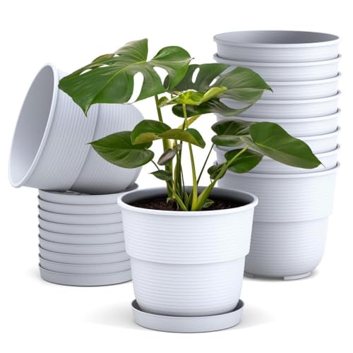 Plastard Blumentöpfe 10er Set 20 cm Durchmesser mit Untersetzer aus Kunststoff Weiß runder Pflanzkübel witterungsbeständiger Übertopf große Blumentöpfe von Plastard