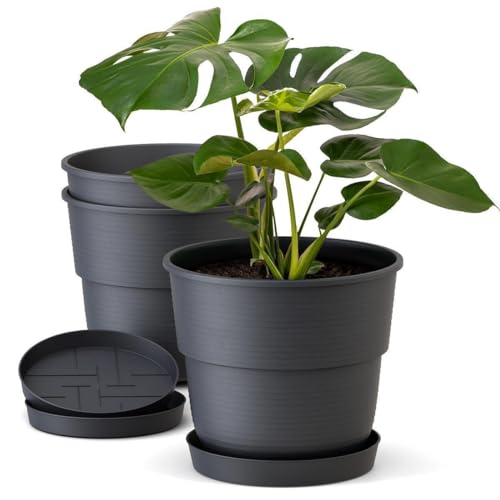 Plastard Blumentöpfe 3er Set 22 cm Durchmesser mit Untersetzer aus Kunststoff Anthrazit runder Pflanzkübel witterungsbeständiger Übertopf große Blumentöpfe von Plastard