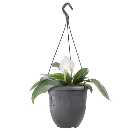 Plastard Blumentopf Hängeampel 24 cm Durchmesser Farbe Anthrazit, Kunststoff Hängetopf ohne Löcher für Innen und Außen, Deko Übertopf zum hängen, witterungsbeständiger Pflanzkübel Plastard Blumentopf Hängeampel 24 cm Durchmesser Farbe Anthrazit, Kunststoff Hängetopf ohne Löcher für Innen und Außen, Deko Übertopf zum hängen, witterungsbeständiger Pflanzkübel von Plastard