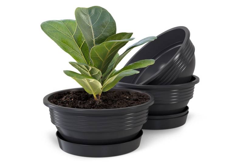 Plastard Pflanzschale Pflanzschalen mit Untersetzer Otto 3er Set Anthrazit Ø 25 cm (Set, 3 St., Pflanzschale mit Untersetzer), UV-beständig, witterungsbeständig, Optionale Drainagelöcher von Plastard