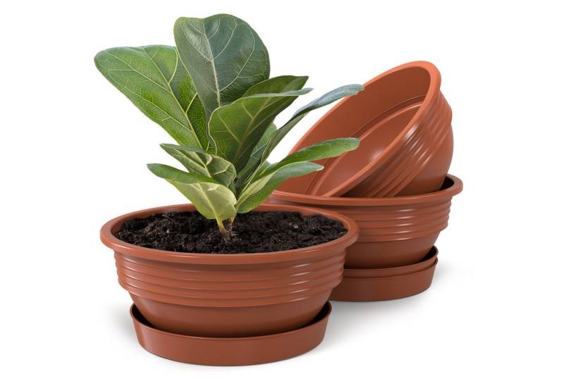 Plastard Pflanzschale Pflanzschalen mit Untersetzer Otto 3er Set Terrakotta Ø 25 cm (Set, 3 St., Pflanzschale mit Untersetzer), UV-beständig, witterungsbeständig, Optionale Drainagelöcher von Plastard