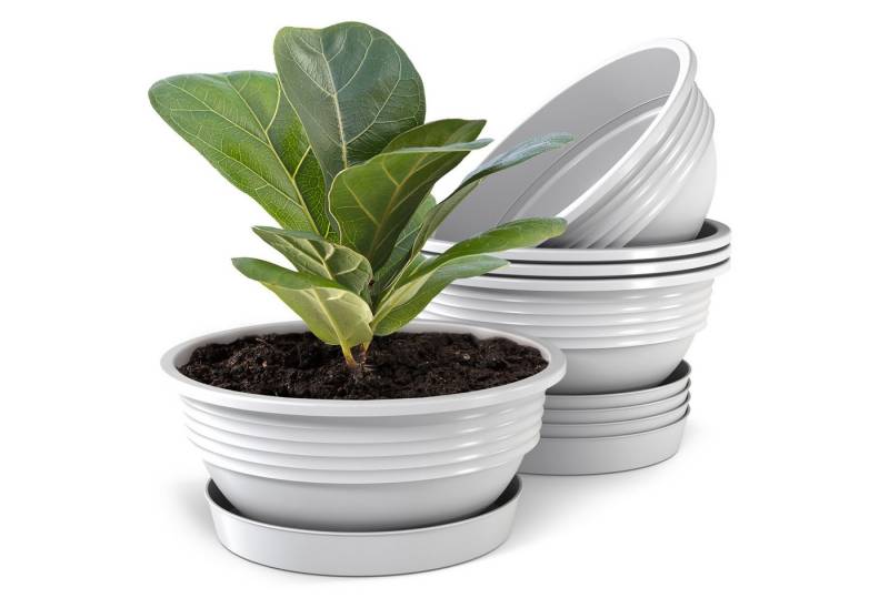 Plastard Pflanzschale Pflanzschalen mit Untersetzer Otto 5er Set Weiß Ø 25 cm (Set, 5 St., Pflanzschale mit Untersetzer), UV-beständig, witterungsbeständig, Optionale Drainagelöcher von Plastard