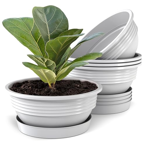 Plastard Pflanzschale mit Untersetzer im 5er Set in Weiß 40 cm Durchmesser große runde Blumenschalen aus Kunststoff für Garten Terrasse Wohnung für Aussen und Innen Schalen Pflanztopf von Plastard