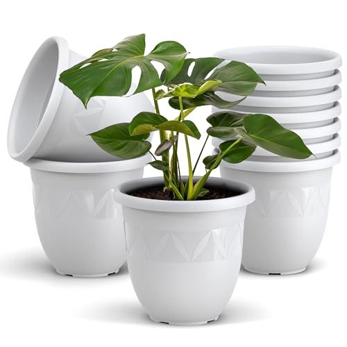 Plastard Übertopf 10er Set Durchmesser 15 cm Weiß Blumentopf für Innen und Außen aus Kunststoff Pflanztopf für Balkon Terrasse Pflanzkübel Kräutertopf Plastard Übertopf 10er Set Durchmesser 15 cm Weiß Blumentopf für Innen und Außen aus Kunststoff Pflanztopf für Balkon Terrasse Pflanzkübel Kräutertopf von Plastard