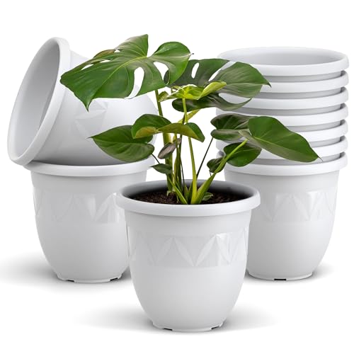 Plastard Übertopf 10er Set Durchmesser 30 cm Weiß Blumentopf für Innen und Außen aus Kunststoff Pflanztopf für Balkon Terrasse Pflanzkübel Kräutertopf von Plastard