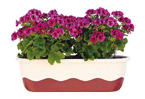 Blumenkasten Bewässerungskasten 'Mareta' 60 u. 80cm mit Selbstbewässerung, Farbe:Hell-Elfenbein + Weinrot, Größe/Durchmesser:60 cm von Plastia