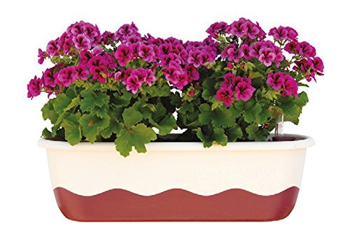 Blumenkasten Bewässerungskasten 'Mareta' 60 u. 80cm mit Selbstbewässerung, Farbe:Hell-Elfenbein + Weinrot, Größe/Durchmesser:80 cm von Plastia
