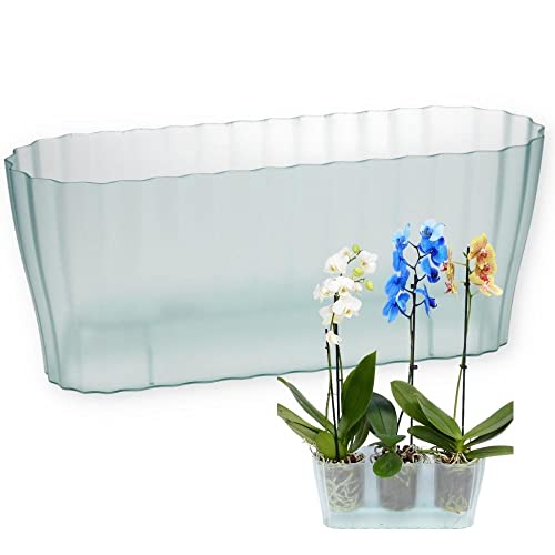 Orchideentopf Triola Glas Orchideentopf Triola Glas von Plastia