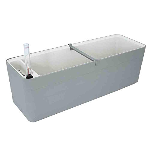 Plastia Berberis-60cm-Taupe & Ivory selbstbewässernder Blumentopf Taupe/Elfenbein Länge 60cm x Breite 19,5cm x Höhe 20cm Plastia Berberis-60cm-Taupe & Ivory selbstbewässernder Blumentopf Taupe/Elfenbein Länge 60cm x Breite 19,5cm x Höhe 20cm von Plastia