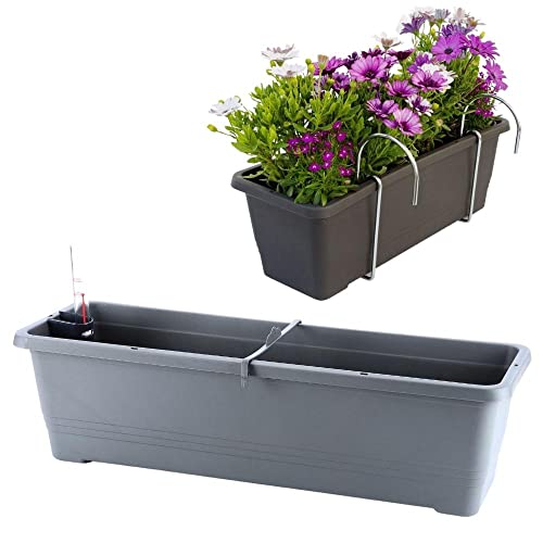 Plastia Blumenkasten Bergamot Balkonkasten 60 cm anthrazit von Plastia