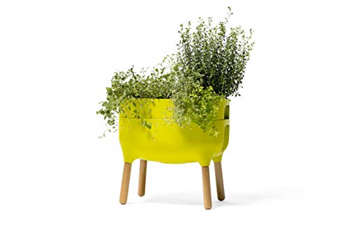 Plastia Urbalive Low Planter 48cm - Light Green von Plastia