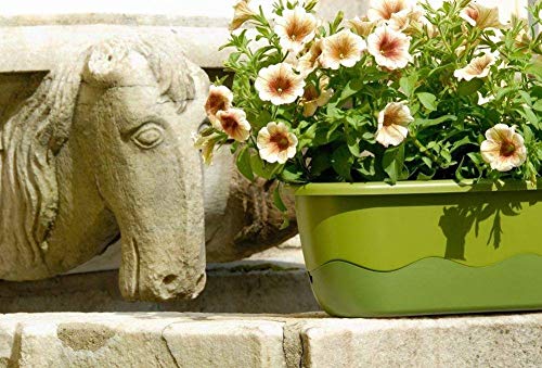 Plastia s.r.o. Blumenkasten Bewässerungskasten 'Mareta' 60 u. 80cm mit Selbstbewässerung, Farbe:Hell- und dunkelgrün, Größe/Durchmesser:60 cm von Plastia