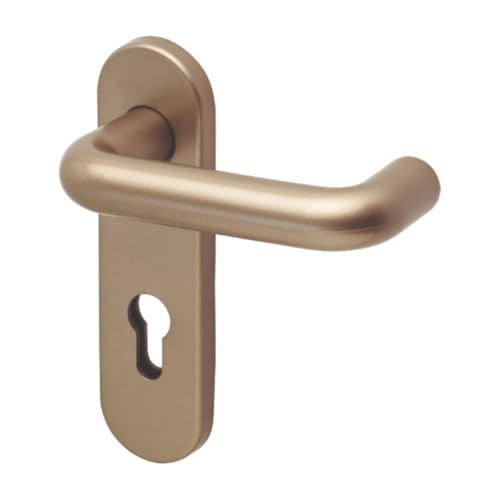 Plastic Hardware Store Farbiger Doppelgriff für Feuerschutztüren, Brandschutztüren aus Nylon und Stahlkern, schwer entflammbar - antikes Gold - 1 Stück von Plastic Hardware Store