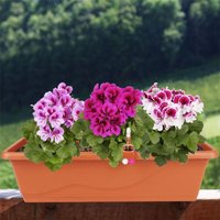 Seebauer Diy - Blumenkasten terrakotta 59cm Balkonkasten Pflanzkasten Blumentopf Bewässerung - Terrakotta von SEEBAUER DIY