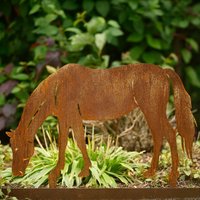 Gartenstecker Pferd Grasend L | Edelrost Beetstecker Rostoptik Gartenstecker Pferd Grasend L | Edelrost Beetstecker Rostoptik von PlatzArtDesigns