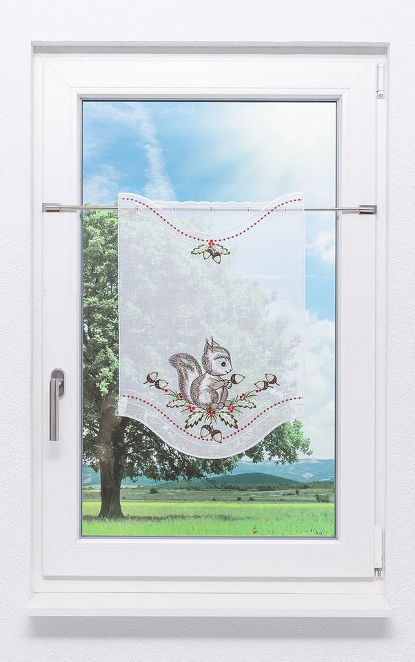 Plauener Spitze® Scheibengardine Eichhörnchen (1 St), transparent, HxB 60x40cm von Plauener Spitze®