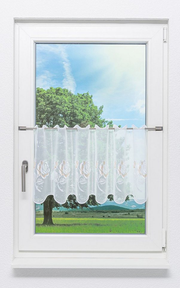 Plauener Spitze® Scheibengardine Rosentraum, (1 St), transparent, HxB 40x48.6cm von Plauener Spitze®