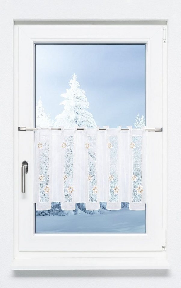 Scheibengardine Sternenstaub, Plauener Spitze®, (1 St), transparent, HxB 40x48cm von Plauener Spitze®