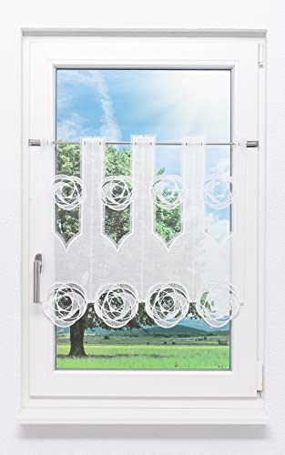 Plauener Spitze Scheibengardine Circles (Bx H) 80cm * 60cm weiß von Plauener Spitze