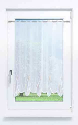 Plauener Spitze Scheibengardine Melanie #1W (Bx H) 259,2cm * 120cm pastellorange/Orange von Plauener Spitze