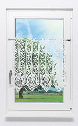 Plauener Spitze Scheibengardine Rosengarten (Bx H) 243cm * 60cm naturweiß/Weiß, 243 x 60 cm (B x H) von Plauener Spitze