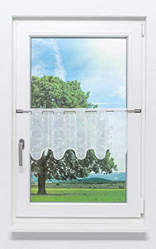 Plauener Spitze Scheibengardine Seifenblasen (Bx H) 80cm * 30cm Weiß/weiß von Plauener Spitze