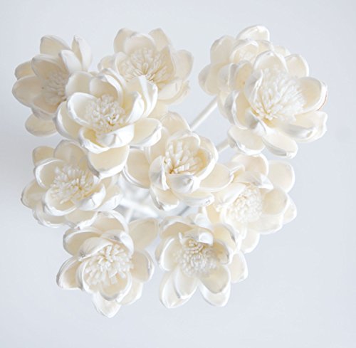 Exotic Plawanature Set mit 10 weißen Lotus-Sola-Holzblumen mit Schilfrohr-Diffusor für den Heimduft. von Plawanature Scent