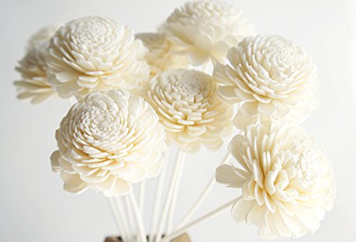 Plawanature Duftblumen, exotisches Set mit 10 Blumen, Jasmin Design, 5,1 cm, Sola Holz, mit Diffusor für Aroma-öl von Plawanature Scent