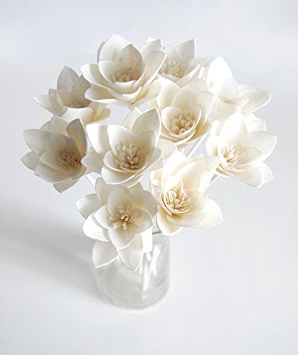 Plawanature Sola-Blume mit Schilfrohr-Diffusor, Weiß, 10 Stück von Plawanature Scent